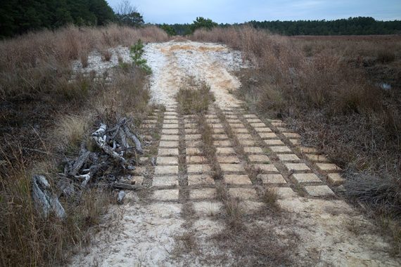 Cement blocks - GREEN trail