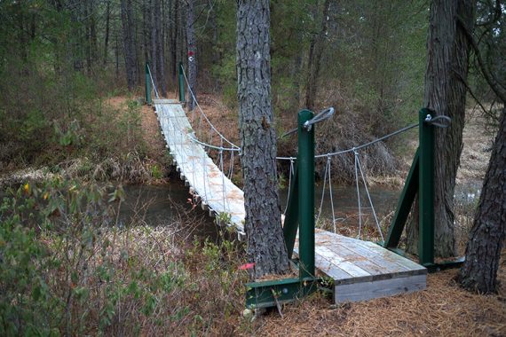 Suspension bridge