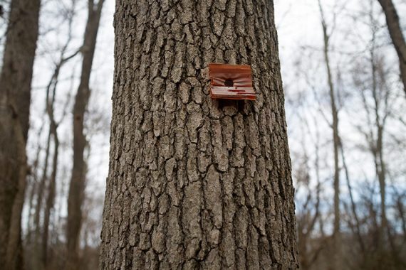 One of few trail markers