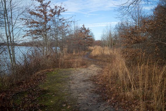 BLUE trail near Lake Mercer