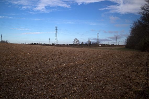 BLUE skirts field edges