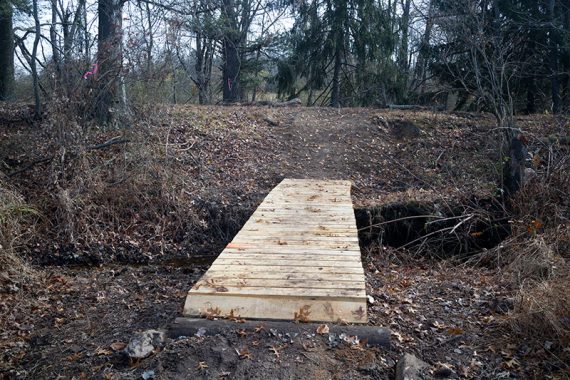 Newer bridge on BLUE trail