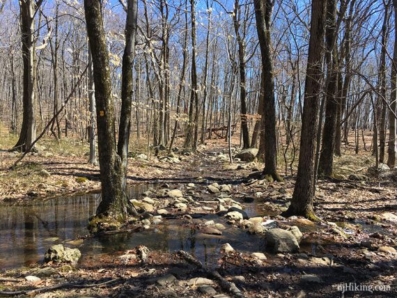 YELLOW trail after recent rains