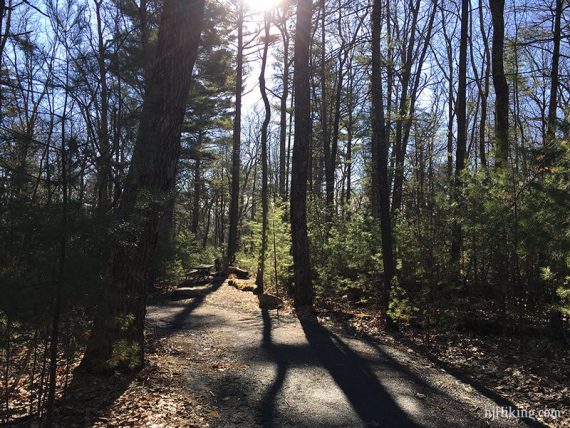 Accessible trail