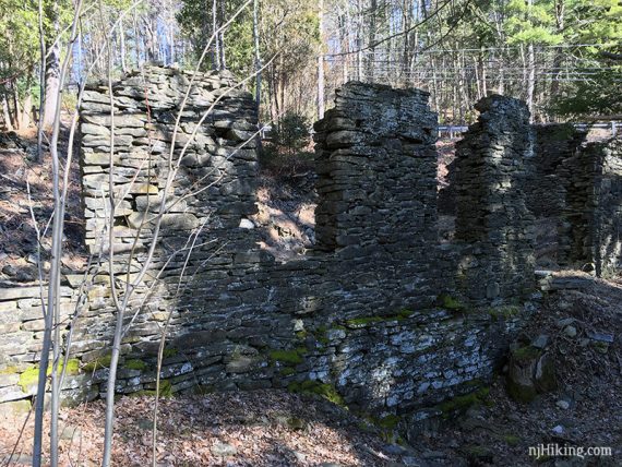 Mill ruins