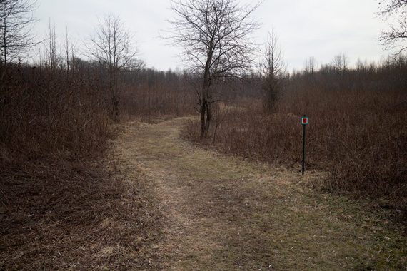 Red is a short trail through a meadow