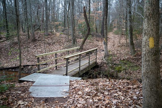 This bridge connect the Nature Center trails to Rancocas State Park.