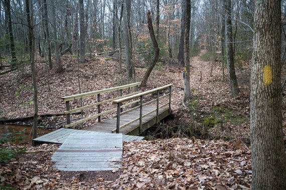 This bridge connect the Nature Center trails to Rancocas State Park