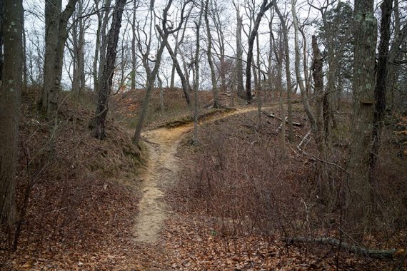 Sandy trail up a hill.