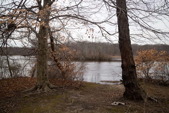 View of Rancocas Creek through trees.