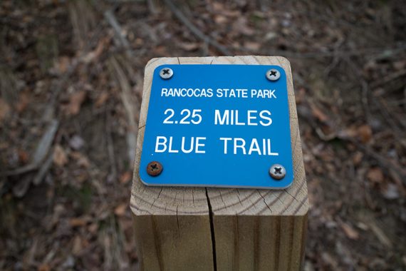 Rancocas State Park 2.25 miles blue trail marker.