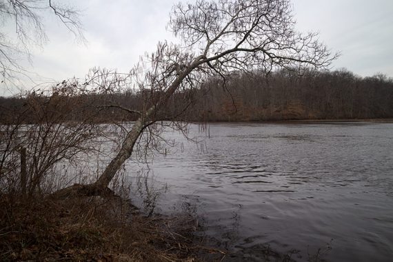 View at the edge of a creek.