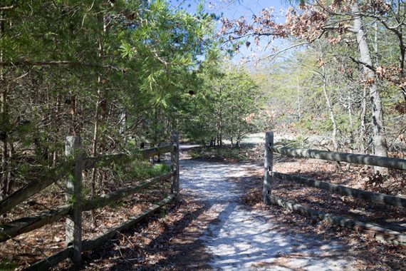 River Overlook trail start.