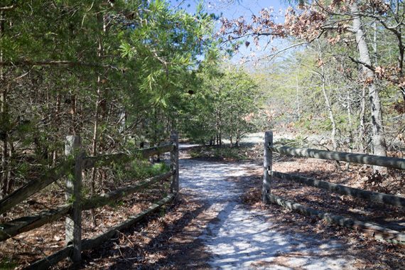 River Overlook trail start