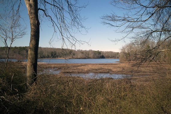 Lake view from an overlook.