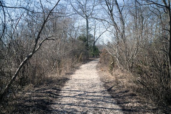 Jenkins Landing trail.