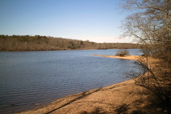 Jenkins Landing.