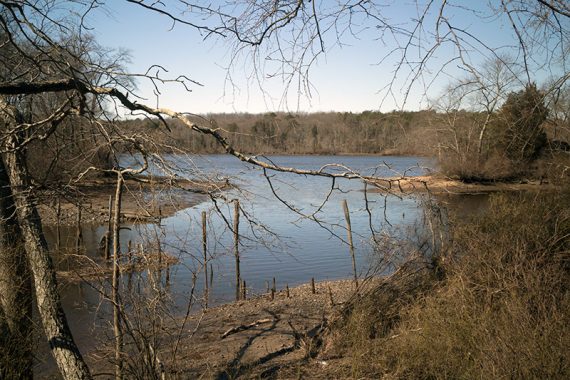 View of a lake with leaf less trees.