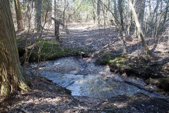 Small stream hop.