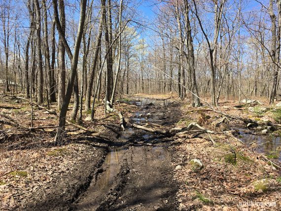 Lake to Lake Trail