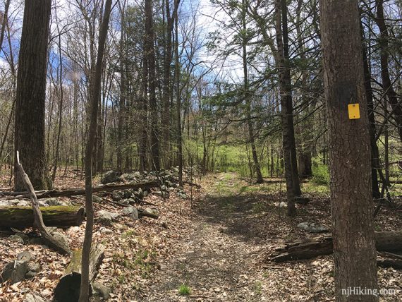 Old farm fence along Jennings Hollow trail