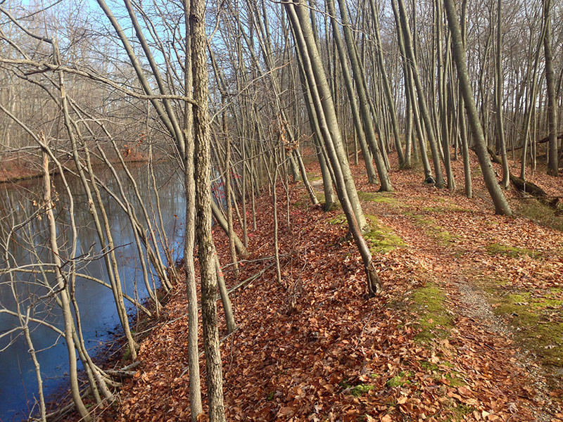 Mercer County Park | njHiking.com