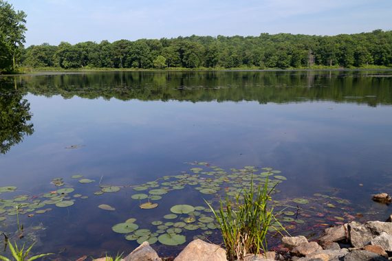 Deer Park Pond