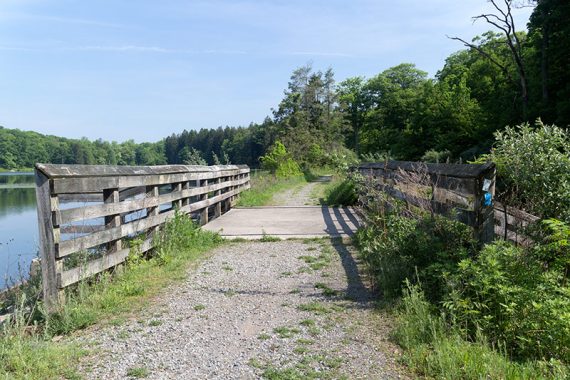 Bridge at Deer Park Pond