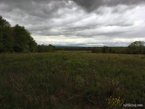 From the viewing area on the RED trail