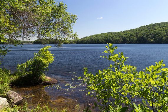 View of Wawayanda Lake from a side trail off of Pumphouse (ORANGE)