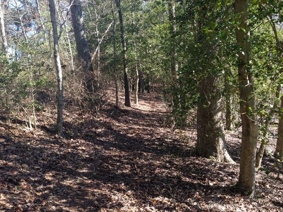 River Overlook trail.