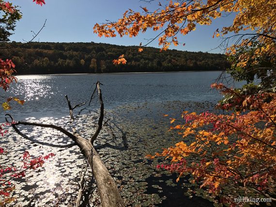 Lake Aeroflex from a view point along the WHITE trail.