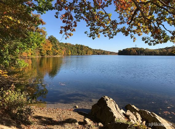 Lake with overhanging branches