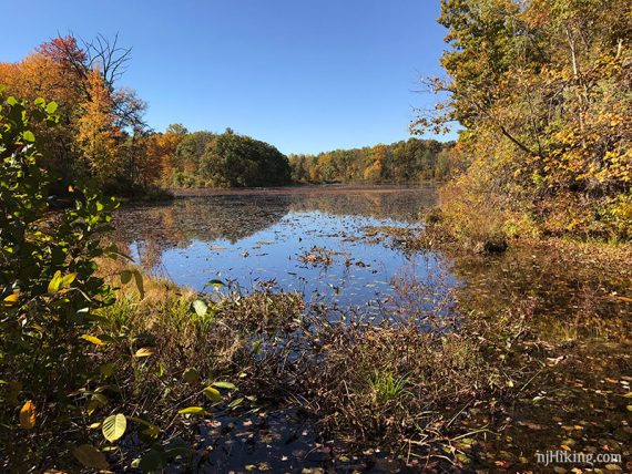 Whites Pond surrounded by fall leaves