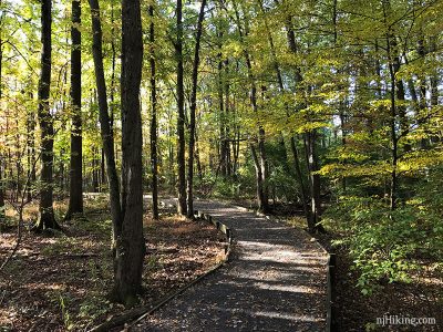 Great Swamp National Wildlife Refuge njHiking