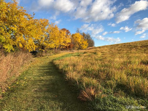 Hike along meadows.