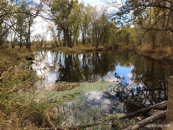 Side trail to Wallkill River.