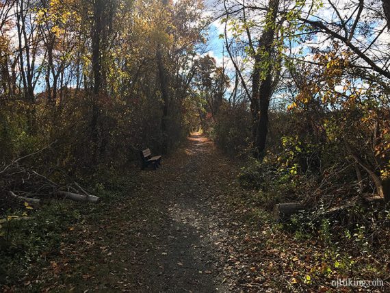 The trail is straight as it follows an old railroad bed.