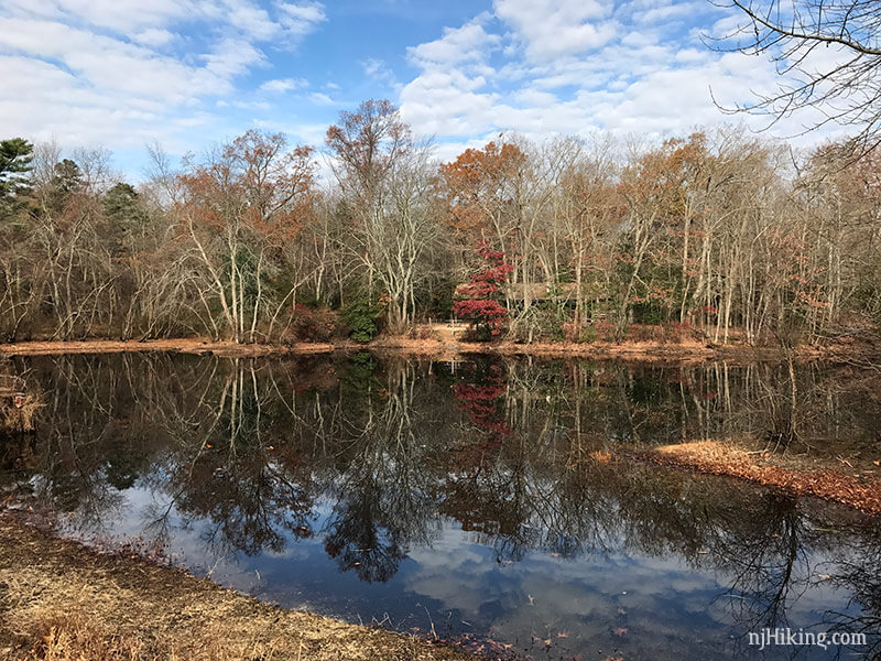 Wildlife Observation Map of Allaire State Park