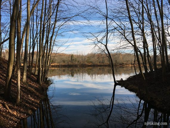 View along WHITE trail.