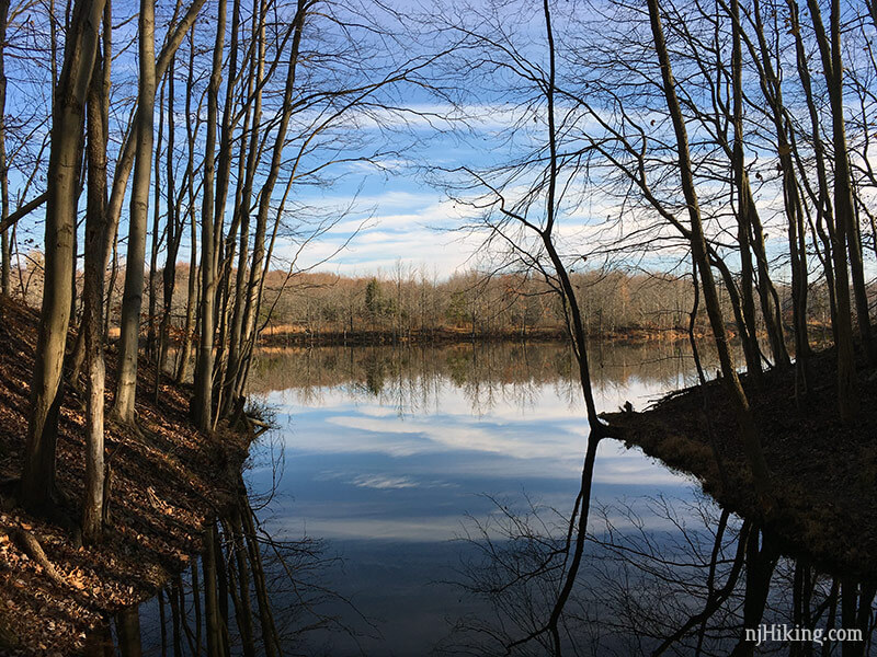 Plainsboro Preserve