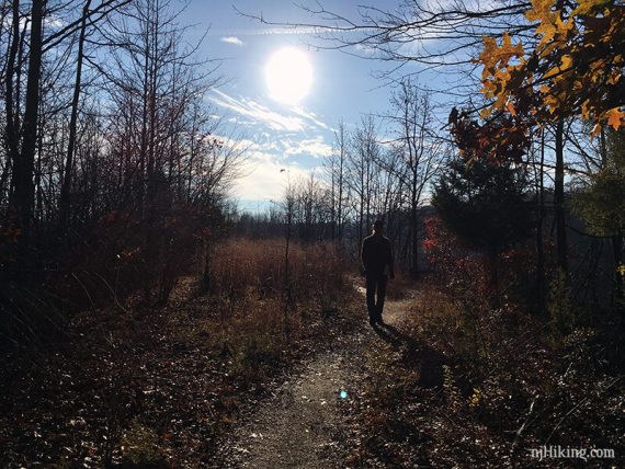 Hiker on a sunlit trail.