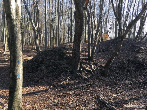 Small hills next to a trail.