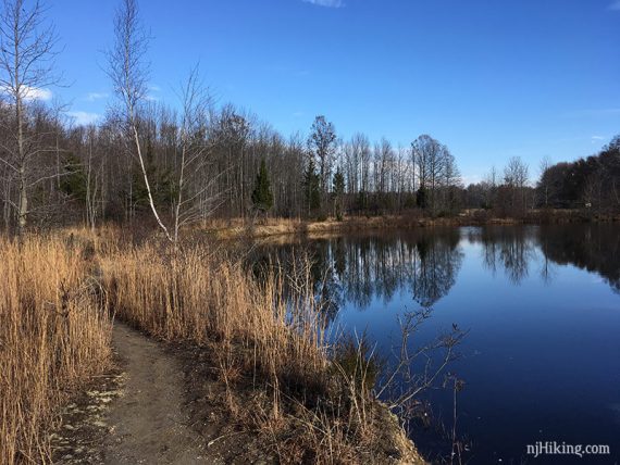 Dirt path curving through reeds next to a lake.