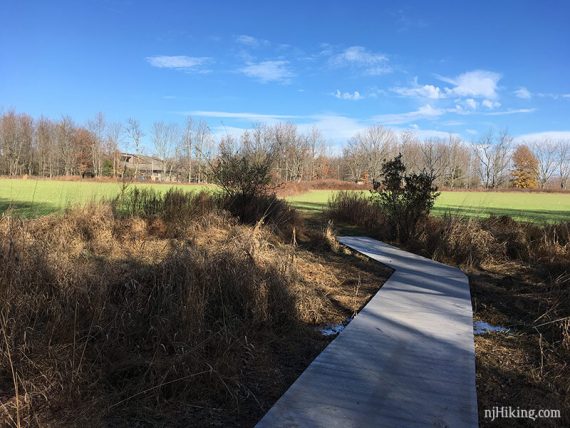 Boardwalk trail approaching a grassy field.