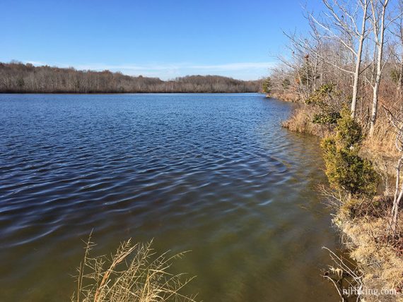 Edge of Lake McCormack seen from the orange trail.