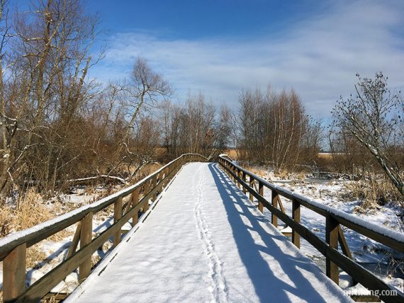 Bridge over Spotswood South Brook.