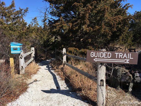 Wooden trail sign at the entrance to Johnny Allen’s Cove Trail