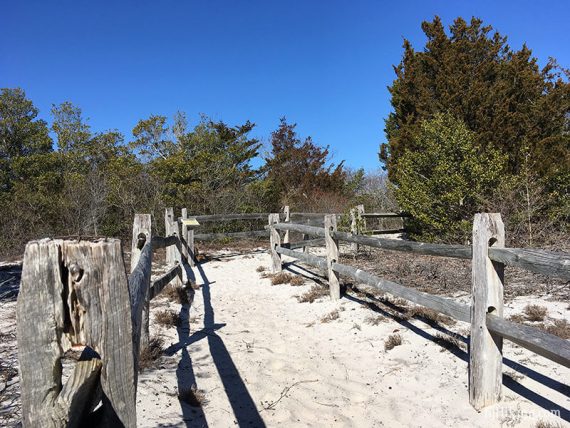 Sandy trail with wooden fence on both sides