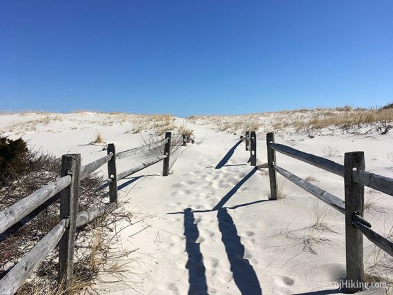 Deep sand trail with a fence leading to the beach